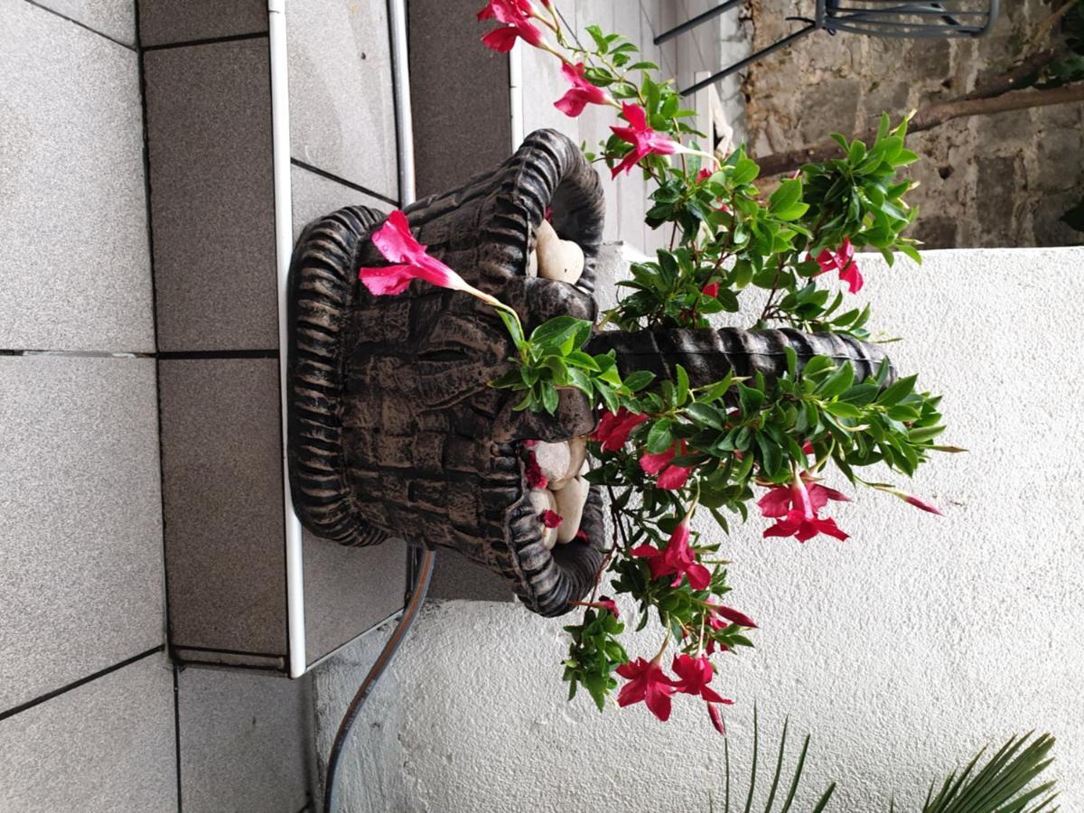 מלון דונג'י סגט Lemon Tree מראה חיצוני תמונה