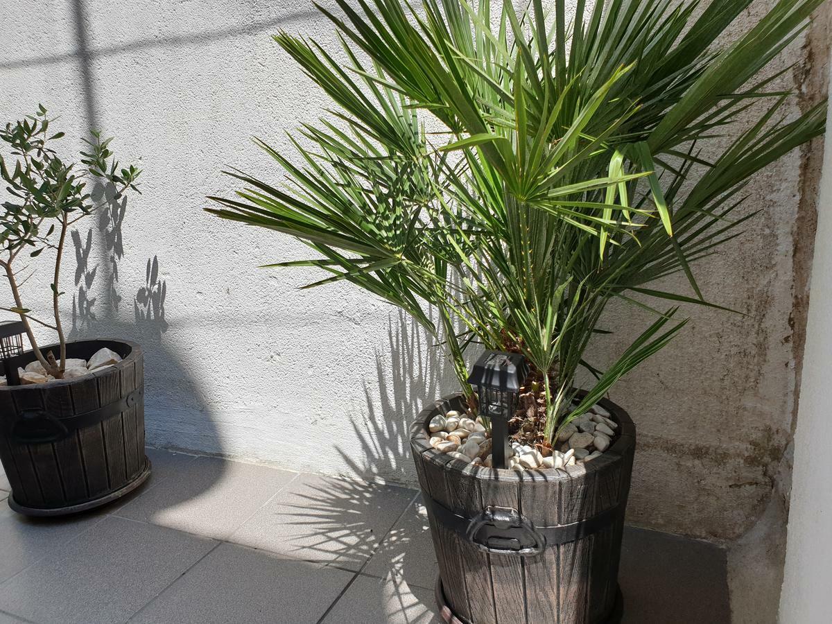 מלון דונג'י סגט Lemon Tree מראה חיצוני תמונה